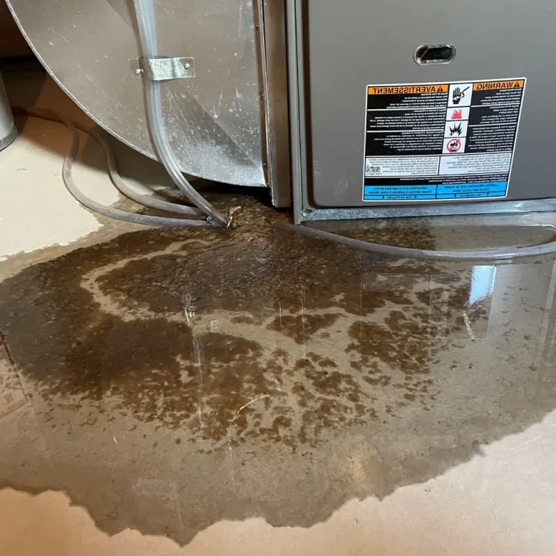 Pipe Burst and Leak Restoration in Sandusky, OH